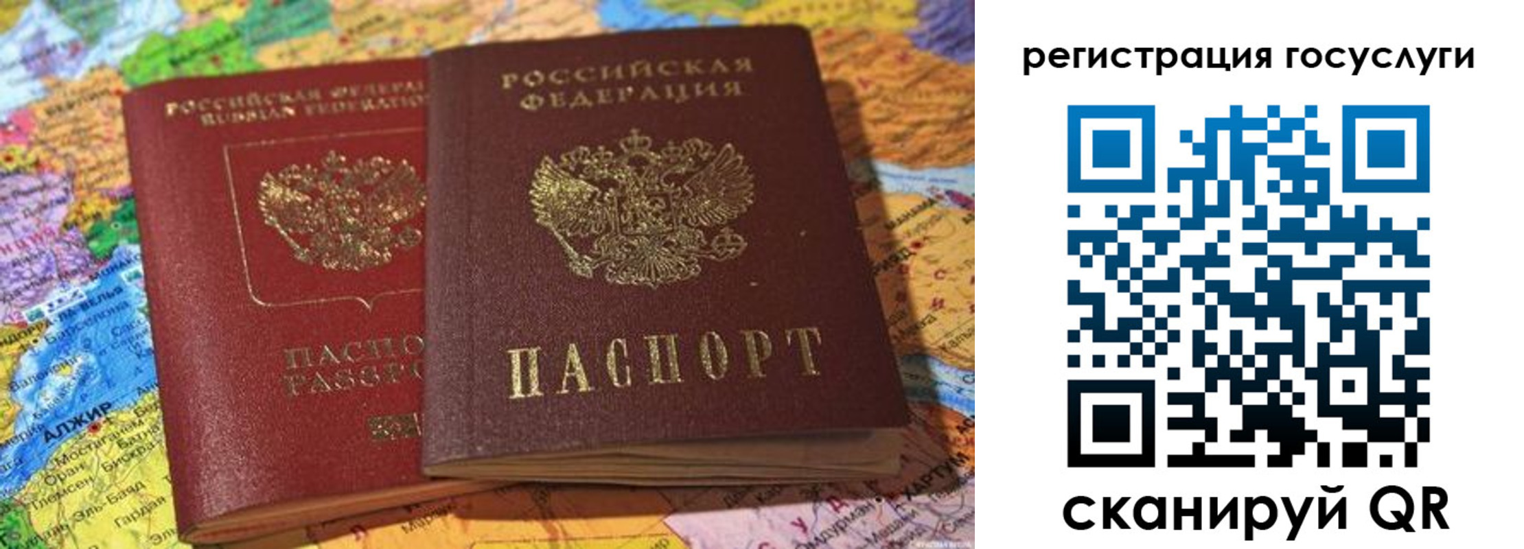прописка поиск в Людиново